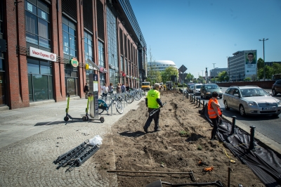 Wrocław: Posadzono drzewa przy Oławskiej tuż obok galerii handlowej [FOTO] - 3
