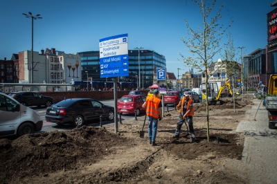 Wrocław: Posadzono drzewa przy Oławskiej tuż obok galerii handlowej [FOTO] - 7