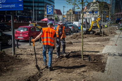 Wrocław: Posadzono drzewa przy Oławskiej tuż obok galerii handlowej [FOTO] - 8