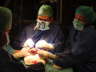 Legniccy chirurdzy jako pierwsi na Dolnym Śląsku wykonali onkologiczny zabieg z monitoringiem nerwów obwodowych