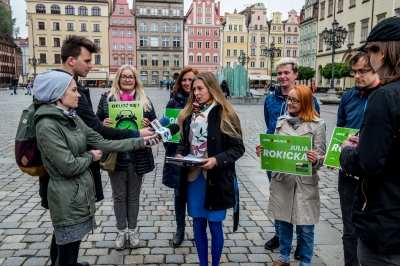 Zieloni chcą większych środków na walkę ze smogiem - 4