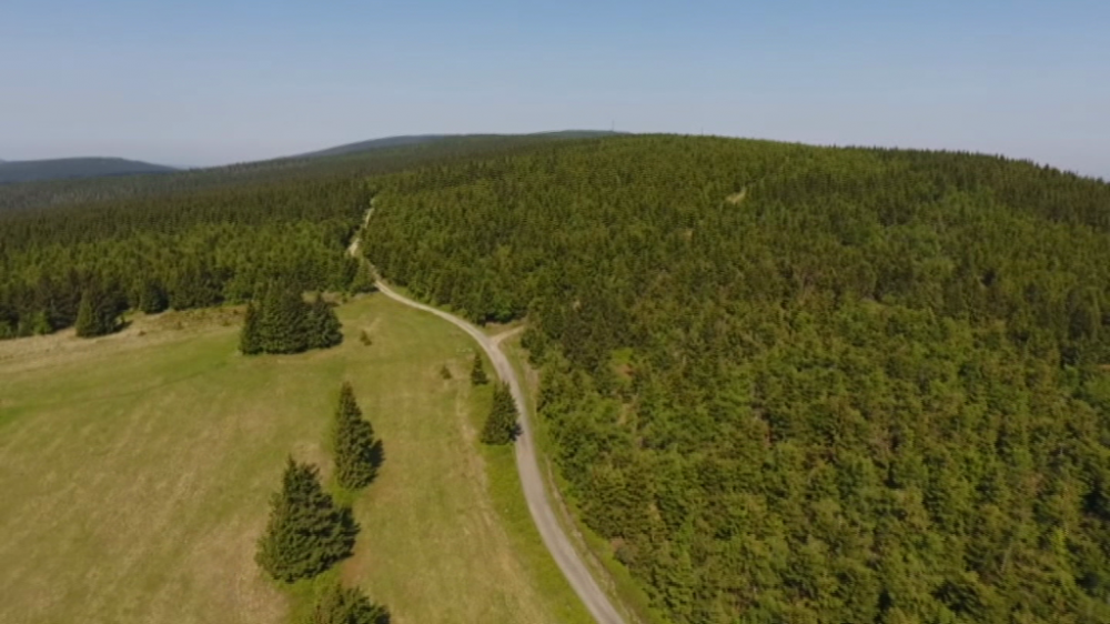 Czy wytną 2 tysiące hektarów lasów w Górach Izerskich? - fot. kadr z filmu