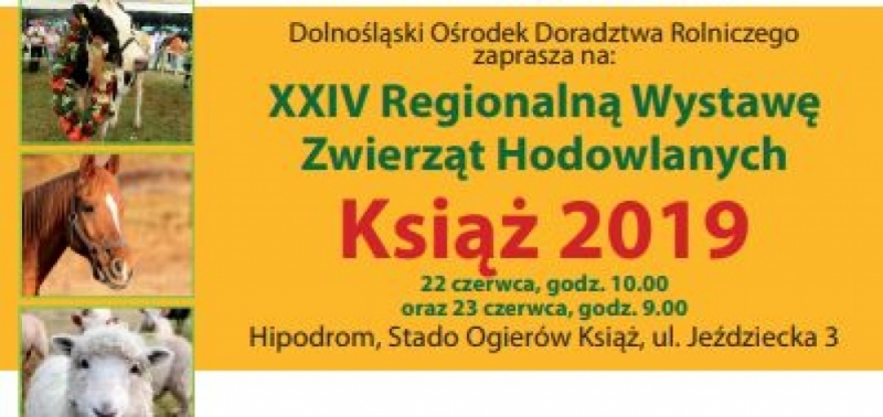 XXIV Regionalna Wystawa Zwierząt Hodowlanych Książ 2019  - mat. prasowe
