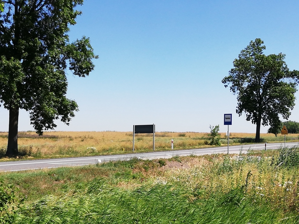 Bareja?! Przystanek w jedną stronę. Wsiadasz do autobusu, ale już nie wysiądziesz... - (fot. Beata Makowska)