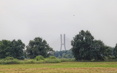 Ekolodzy chcą ratować pola irygacyjne na wrocławskich Osobowicach. Marzy im się rezerwat