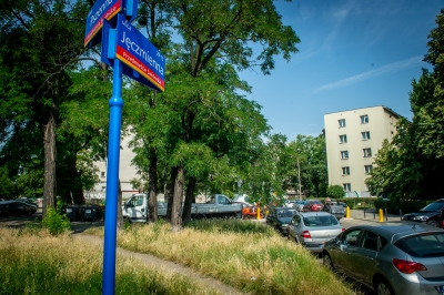 Wrocław: Uporządkują parkowanie na Przedmieściu Świdnickim - 5