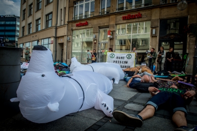 Die-In. Masowe wymieranie w centrum Wrocławia [ZDJĘCIA] - 10