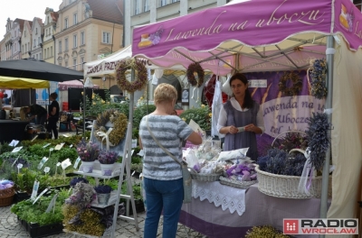 Jelenia G&oacute;ra: 17. edycja wystawy "Wyprodukowano pod Śnieżką"