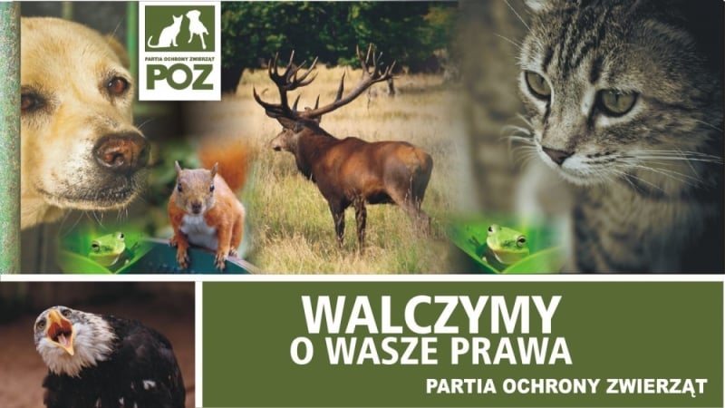 Polanica Zdrój: Powstawała Polska Partia Ochrony Zwierząt - fot. Facebook
