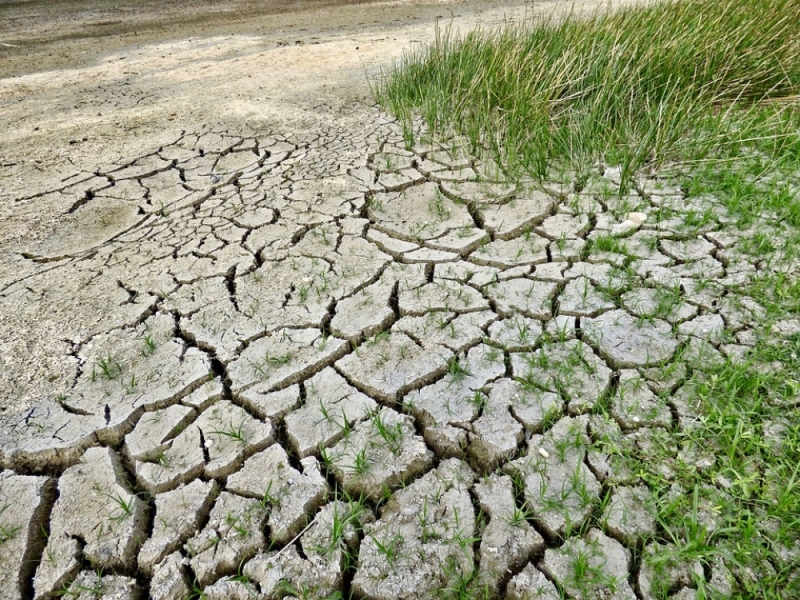 Dolnośląskie: 153 gminy dotknięte suszą. Powołano 113 komisji szacujących straty - fot. pixabay (zdjęcie ilustracyjne)