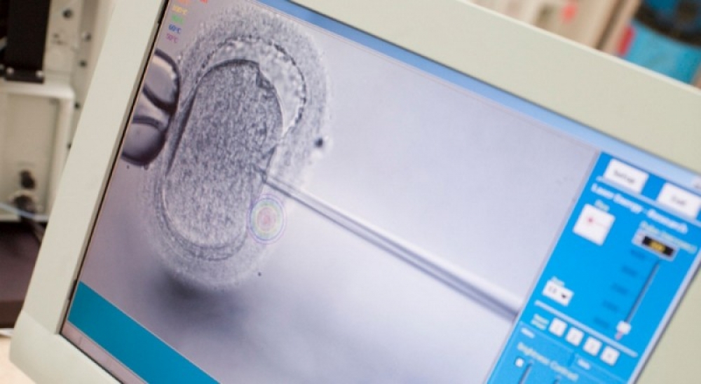 Pierwsze ciąże z programu dofinansowań metody in vitro we Wrocławiu - Fot: archiwum radiowroclaw.pl