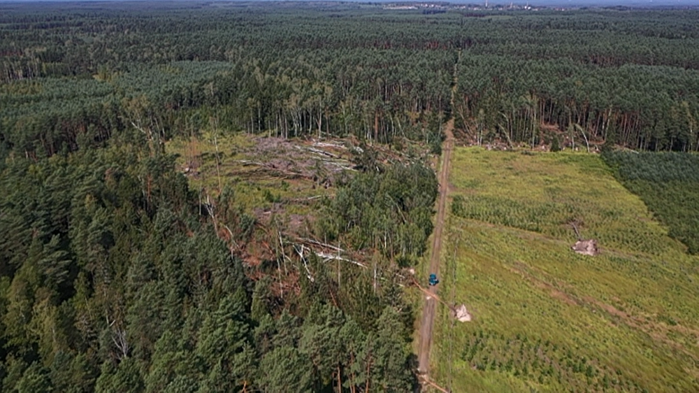 Po burzach zakaz wstępu do nadleśnictwa Ruszów. Straty są ogromne - fot. Piotr Słowiński