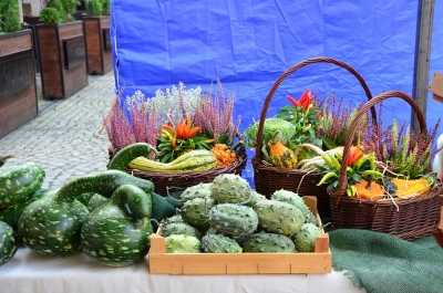 DRJ: Wyprodukowano pod Śnieżką - 2