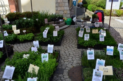 DRJ: Wyprodukowano pod Śnieżką - 5