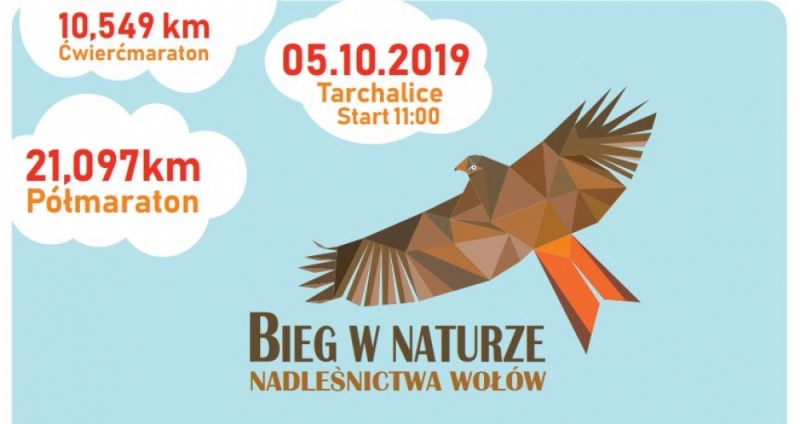 V Bieg w Naturze nadleśnictwa Wołów - .