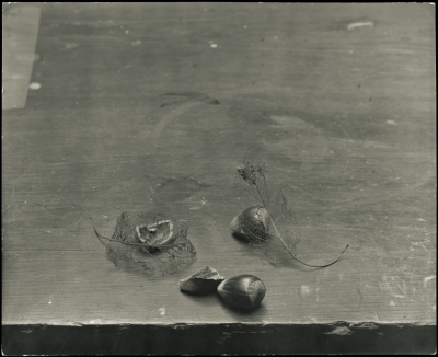 Sudek, Finke, Drtikol...Fotografia czeska i słowacka z kolekcji PPF - 0
