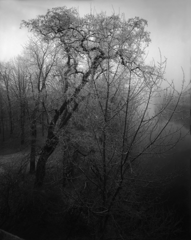 Sudek, Finke, Drtikol...Fotografia czeska i słowacka z kolekcji PPF - 2