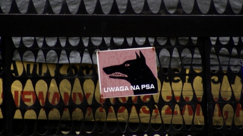 Jelenia Góra: Są wyniki sekcji zwłok dozorcy, którego pogryzły psy - fot. archiwum radiowroclaw.pl