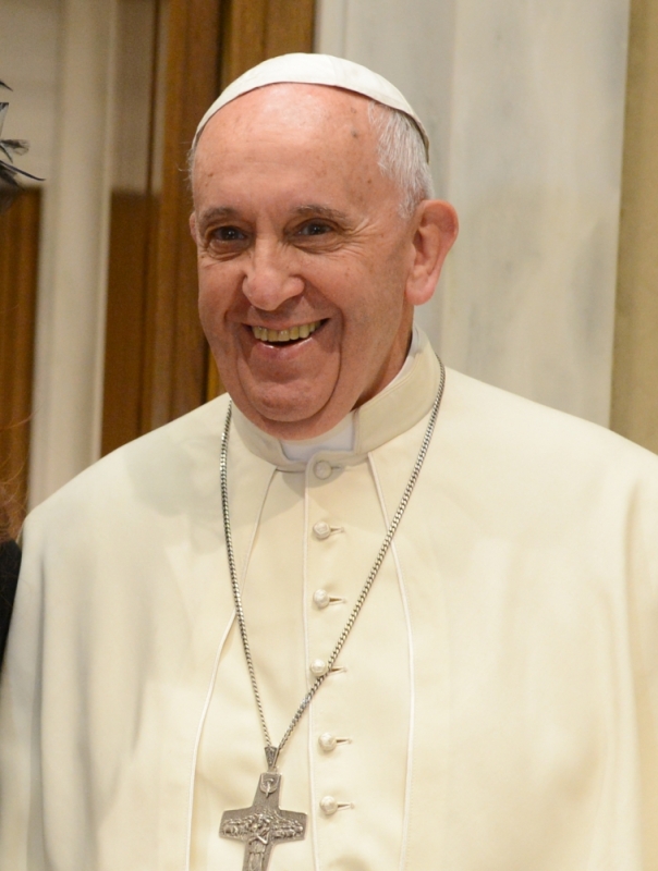 Papież Franciszek chce wprowadzić grzech ekologiczny - Fot. CC0 Creative Commons
