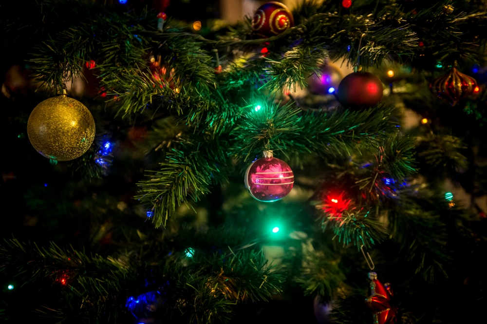 POLECAMY WAM NA ŚWIĘTA - (fot. Andrzej Owczarek)