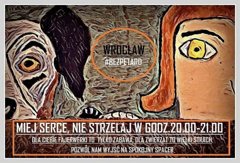 Wrocławska akcja dla czworonogów: Godzina dla psa. - fot. materiały prasowe