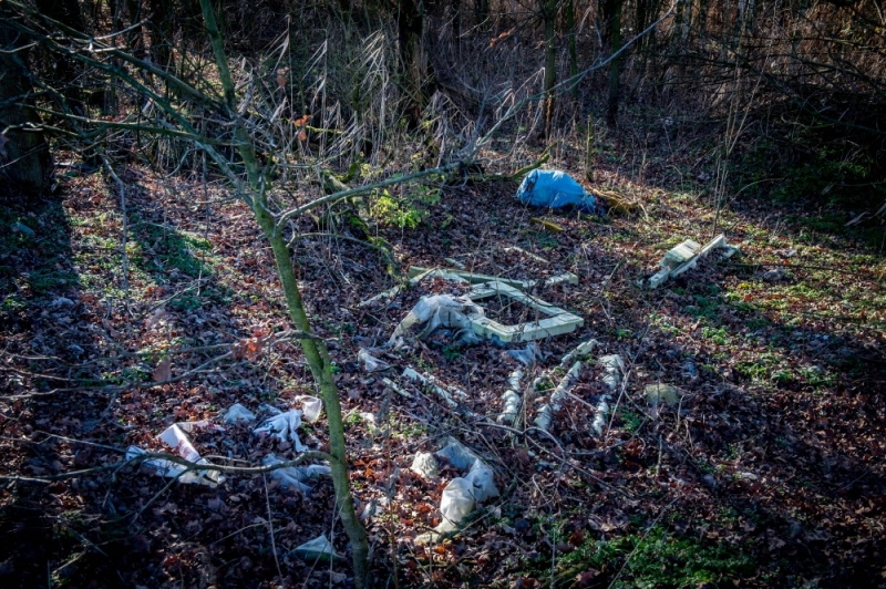 Śmierdzący problem w największym parku krajobrazowym w Polsce - fot. Andrzej Owczarek
