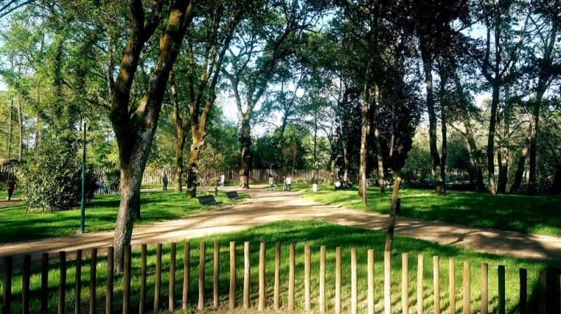 Jelenia Góra: Park w miejsce popularnego targowiska - fot. Gabriela Stefanowicz
