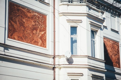 FOTOSPACER: Borek, wille cz. 2 - 2