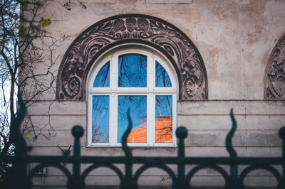 FOTOSPACER: Borek, wille cz. 2 - 6