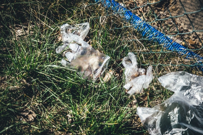 Jednorazowe rękawiczki zaśmiecają dolnośląskie miasta - fot. Patrycja Dzwonkowska