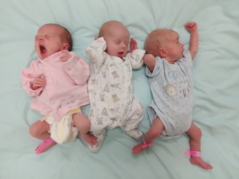  Milena, Lilianna i Karolina. Wrocławskie trojaczki z Borowskiej opuściły szpital - fot. archiwum rodziny