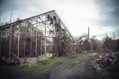 GALERIA: Wrocławski Angkor  - 12