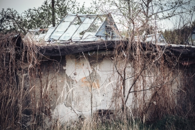 GALERIA: Wrocławski Angkor  - 7