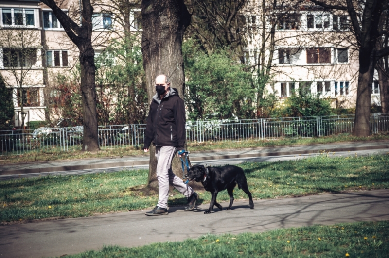 Zdalne adopcje. Znów można przygarnąć czworonoga z wrocławskiego schroniska  - fot. P. Dzwonkowska
