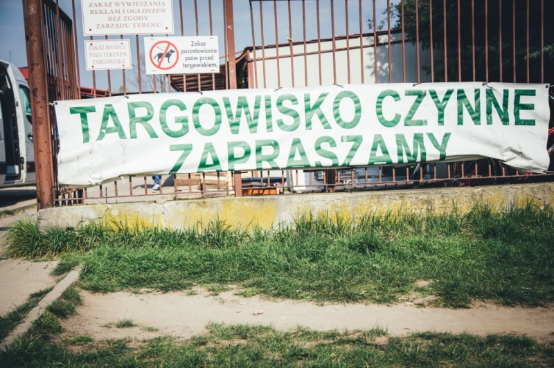 Można już robić zakupy na targowisku miejskim w Dzierżoniowie - fot. Patrycja Dzwonkowska