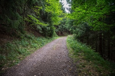 Nadleśnictwo w Świeradowie jako pierwsze w Polsce wprowadziło zakaz wstępu do lasu