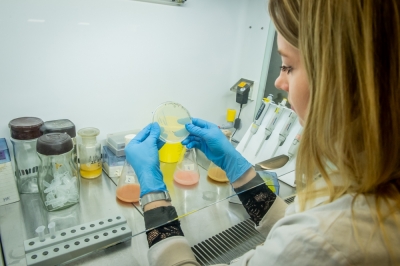 Koronawirus. Powiat trzebnicki zakłada laboratorium do test&oacute;w