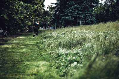 Legniczanom marzą się łąki kwietne w mieście
