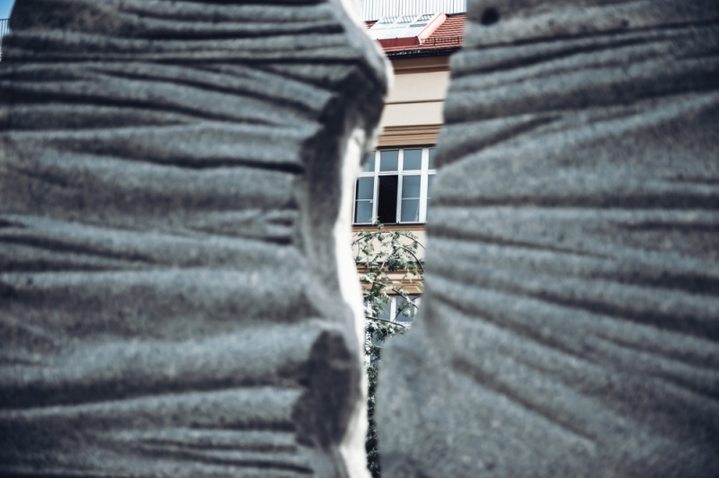 Zdjęcie dnia: Otwartość - fot. P. Dzwonkowska