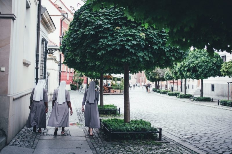 Zdjęcie dnia: W drodze - fot. Patrycja Dzwonkowska