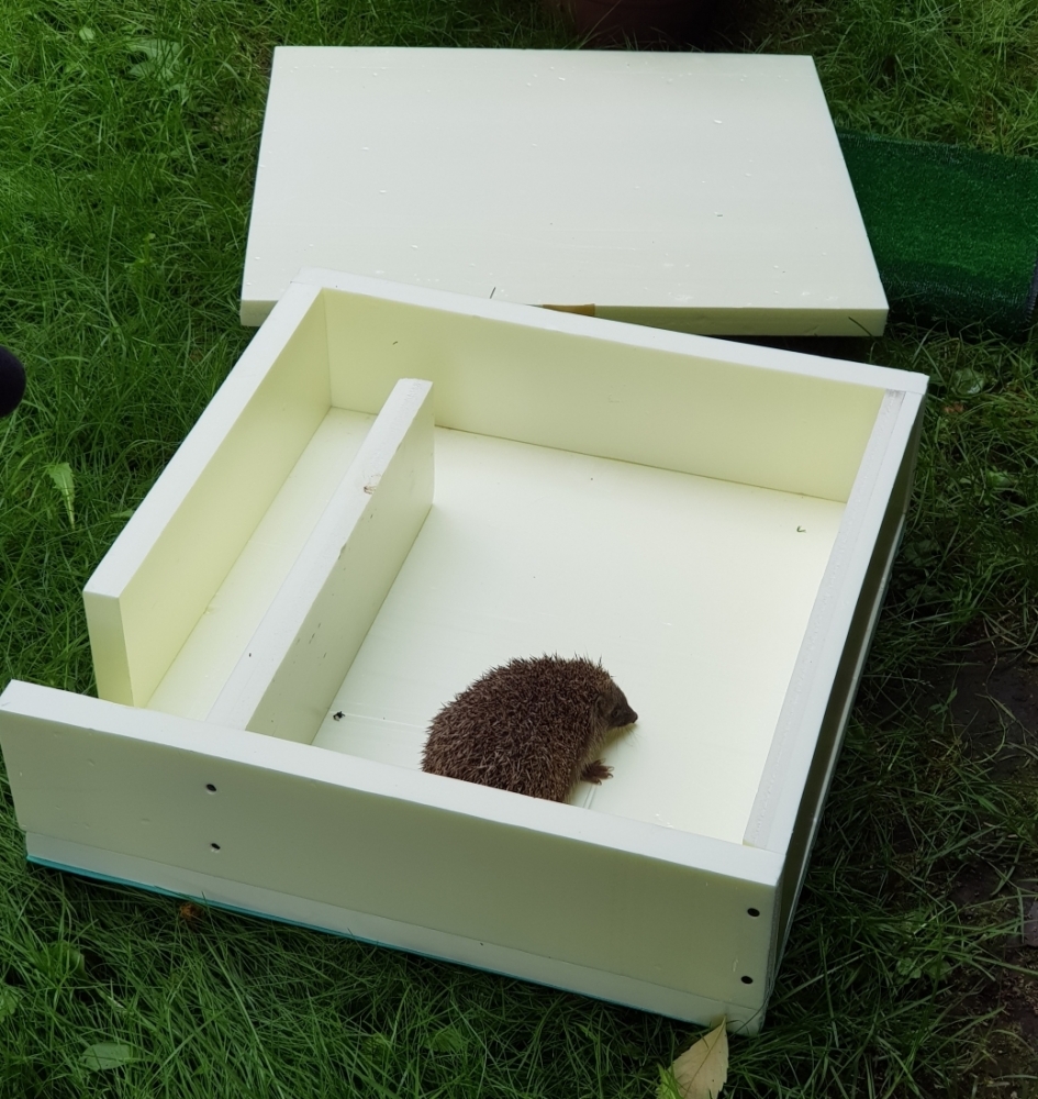 Domki z labiryntem. Dodatkowe schronienie dla jeży z kłodzkiego ośrodka - fot. Bartosz Szarafin
