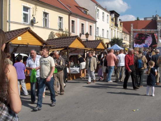 Święto wina w Środzie Śl. - 2
