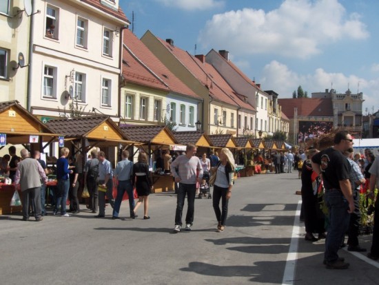 Święto wina w Środzie Śl. - 0