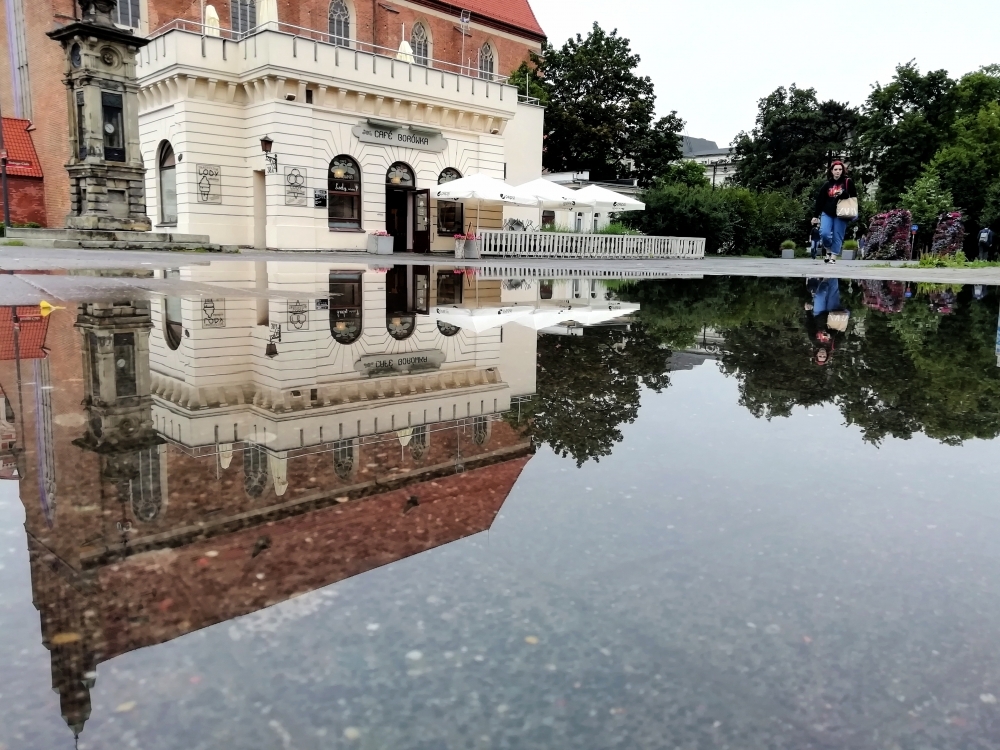 ZDJĘCIE DNIA: Tęsknicie? - Fot. Patrycja Dzwonkowska