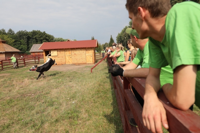 W lubińskim ZOO zamieszkała... krowa - Karolina Kurczab