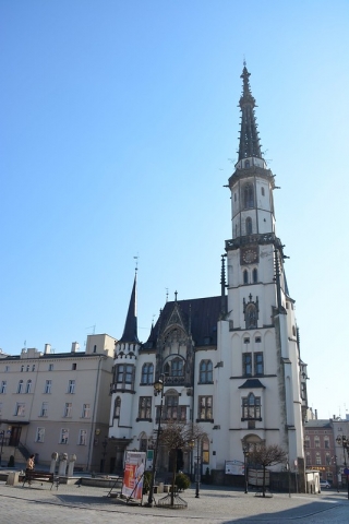 Studio Lato w Ząbkowicach Śląskich - 14