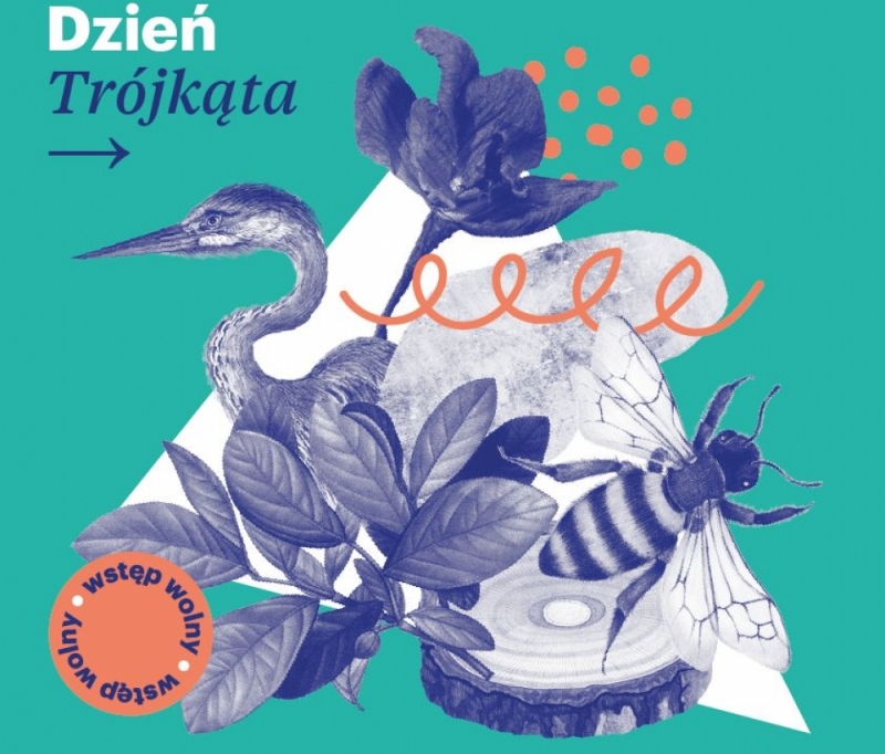 Dzień Trójkąta – program wydarzeń - fot. mat. prasowe
