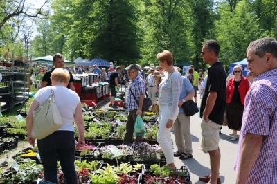 "Pamiętajcie o ogrodach", czyli kiermasz ogrodniczy we Wrocławiu - 2