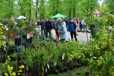 "Pamiętajcie o ogrodach", czyli kiermasz ogrodniczy we Wrocławiu - 8