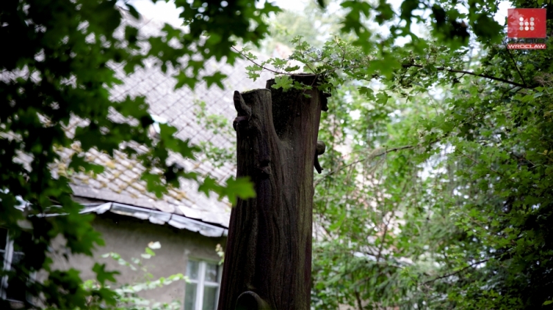 Wyjątkowe żeliwne drzewo. O niezwykłej atrakcji opowiada Joanna Lamparska - fot. Radosław Bugajski